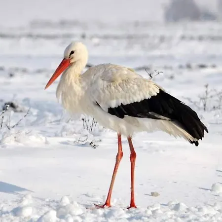 Apartamento Parenthese Nature