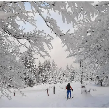 Apartamento Parenthese Nature Soultz-Haut-Rhin