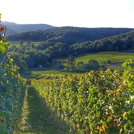 Apartamento Parenthese Nature